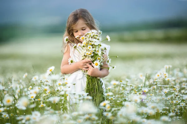 Klein meisje in een veld van kamille bloemen — Stockfoto