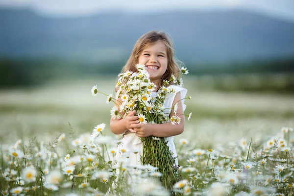 Маленька мила дівчинка в полі ромашкових квітів — стокове фото