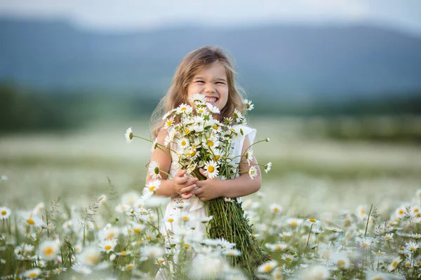 Liten söt flicka i ett fält av kamomill blommor — Stockfoto