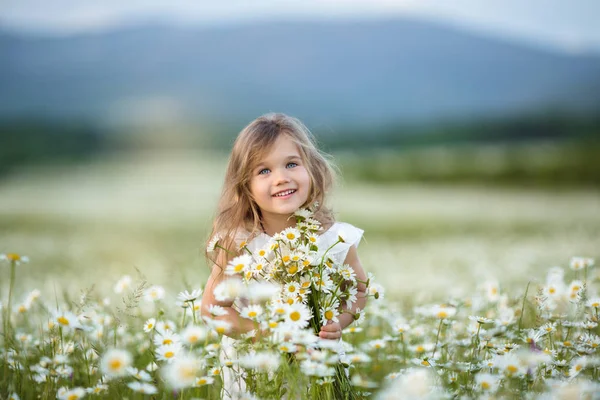 Little cute girl with bouquet of camomile flowers — Stock Photo, Image
