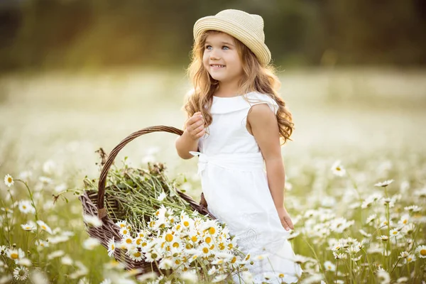 Menina bonito pouco com cesta de flores de camomila — Fotografia de Stock