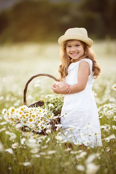 Kleines süßes Mädchen mit Korb voller Kamillenblüten — Stockfoto