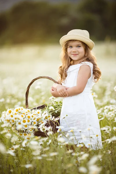 Kleines süßes Mädchen mit Korb voller Kamillenblüten — Stockfoto