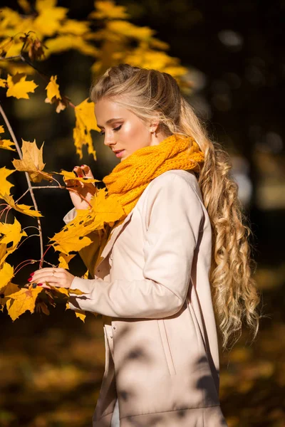Portrait of pretty blonde teen girl with fashion makeup near autumn tree with yellow leaves — Stock Photo, Image