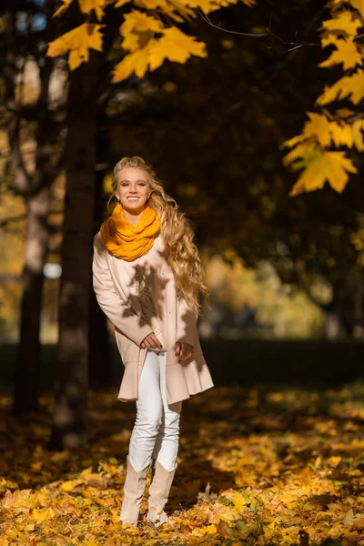 Портрет симпатичной блондинки, развлекающейся в осеннем парке возле дерева с жёлтыми листьями — стоковое фото