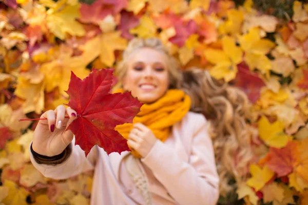 Portrait of pretty happy blonde teen girl lying on the carpet of yellow and red leaves — Stock Photo, Image