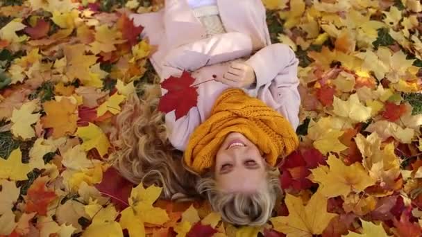 Jolie fille blonde est couchée dans le parc sur le tapis de feuilles d'érable jaune — Video