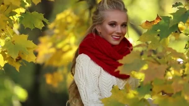 Красивая блондинка лежит в парке на ковре из желтых кленовых листьев — стоковое видео