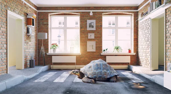 Asfalt Yolun Karşısına Oturma Odası Dev Kaplumbağa Render Yaratıcı Kavramı — Stok fotoğraf