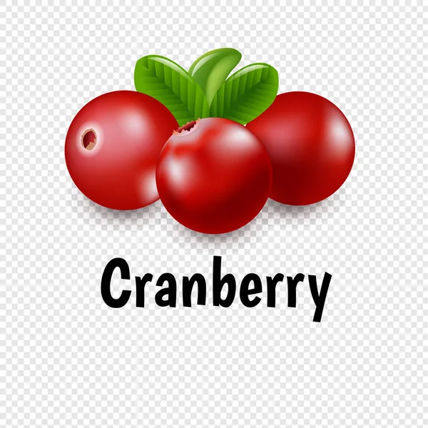 Granberries Zestaw Przezroczystym Tłem Gradient Mesh Ilustracji Wektorowych — Wektor stockowy