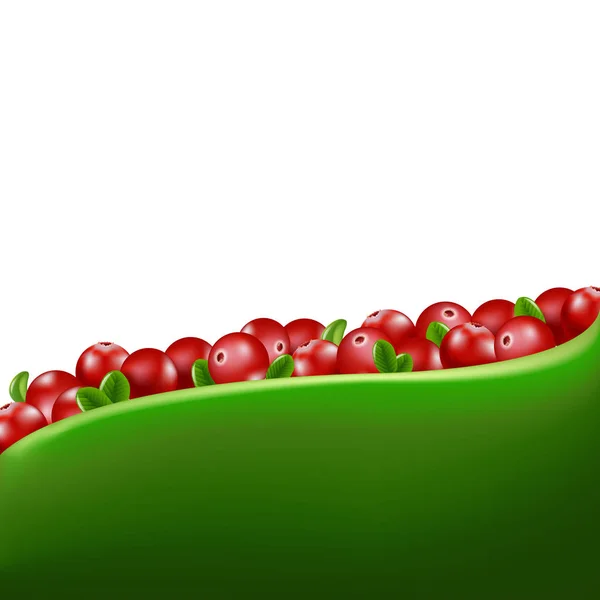 Red Cranberries Border Gradient Mesh Vector Illustration — Stock Vector
