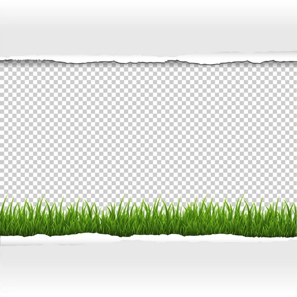 Herbe Verte Bordure Papier Déchiré Avec Gradient Mesh Illustration Vectorielle — Image vectorielle