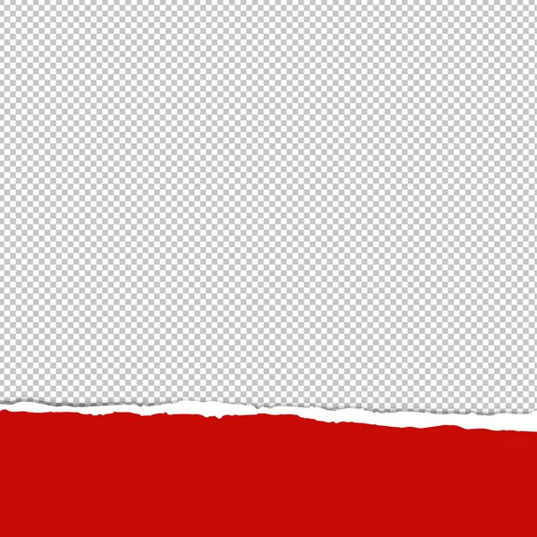 Ripped Paper Transparent Vector Art Stock Images Depositphotos