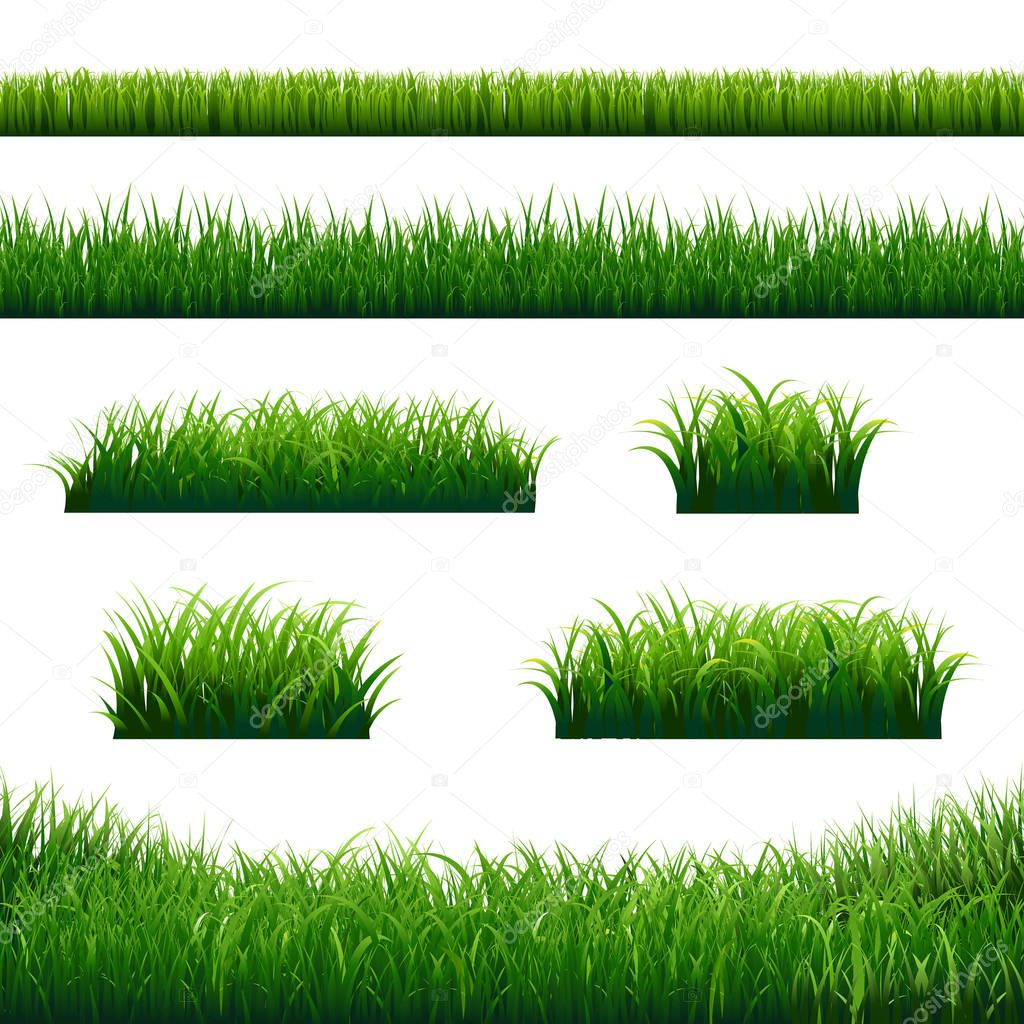 Green Grass Borders Big Set With Gradient Mesh, Vector Illustration