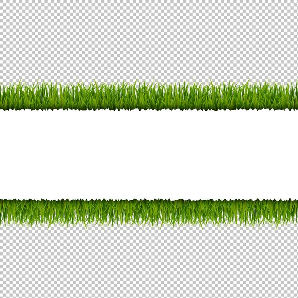 Grüner Grasrand Transparenter Hintergrund Vektorillustration — Stockvektor