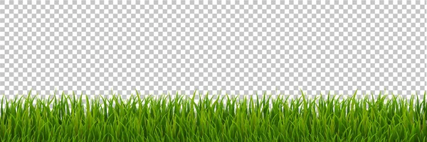 Green Grass Border Transparent Background Vector Illustration — Stock Vector