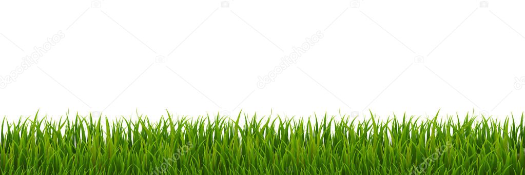 Green Grass Border, Vector Illustration