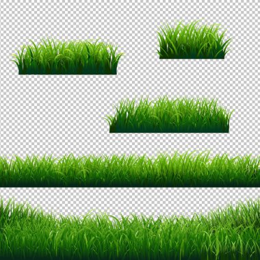 Yeşil Çimen Sınırları Büyük Koleksiyon Şeffaf arkaplan, Vektör Resimleri