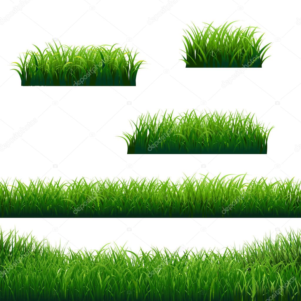 Green Grass Borders Big Collection, Vector Illustration