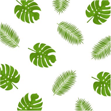 Monstera ve Palm Branch Arkaplanı, Vektör İllüzyonu