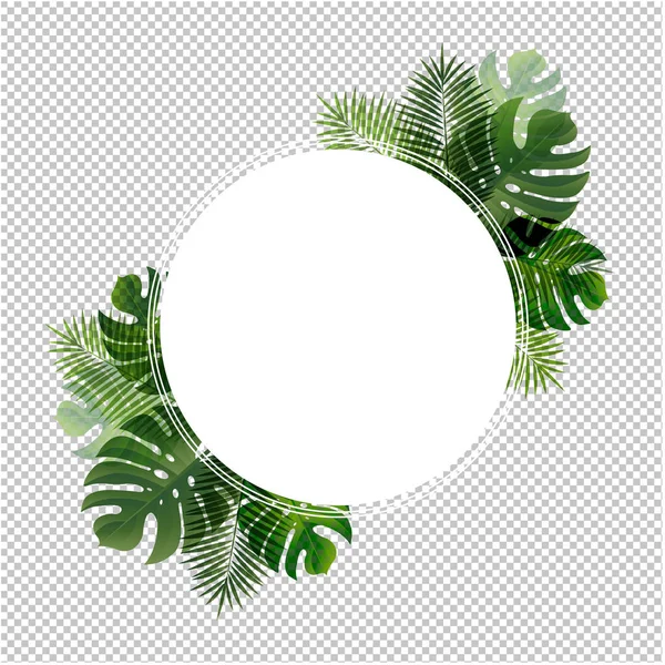 Ball Banner Leaf Palm Transparent Background Vector Illustration — Stock Vector