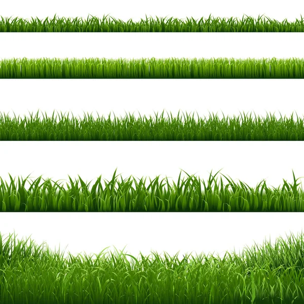 Frontières Cadre Herbe Illustration Vectorielle — Image vectorielle