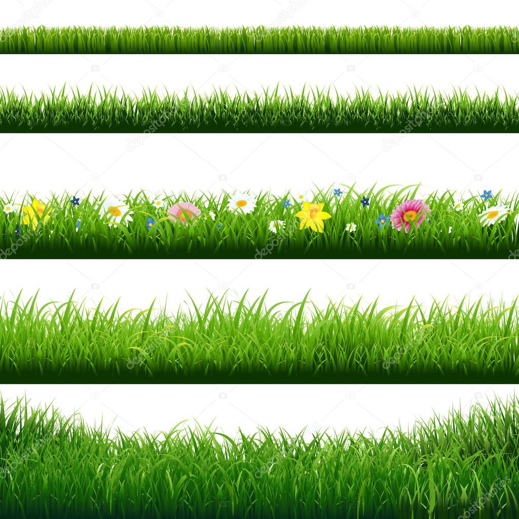 Grass Borders Set With Gradient Mesh, Vector Illustration