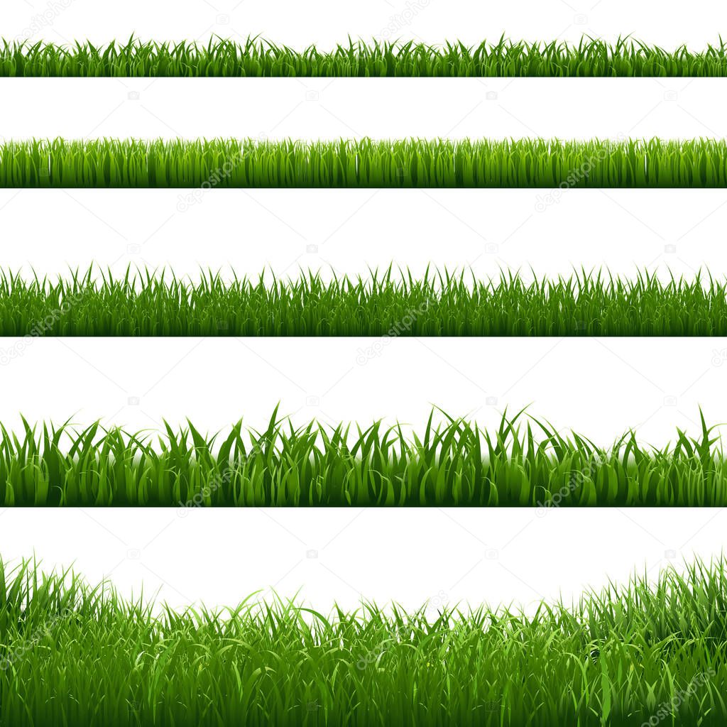 Grass Frame Borders, Vector Illustration