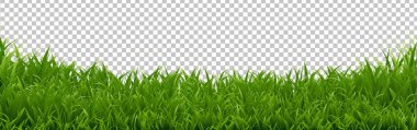 Yeşil Çimen Sınırı Şeffaf Arkaplan, Vektör Resimleri