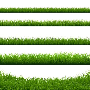 Yeşil Çim Büyük Kenarlıklar Koleksiyonu, Vektör İllüstrasyon