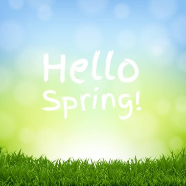 Merhaba Bahar Doğası Çimen Sınırı Gradyan Örgü, Vektör İllüstrasyonu