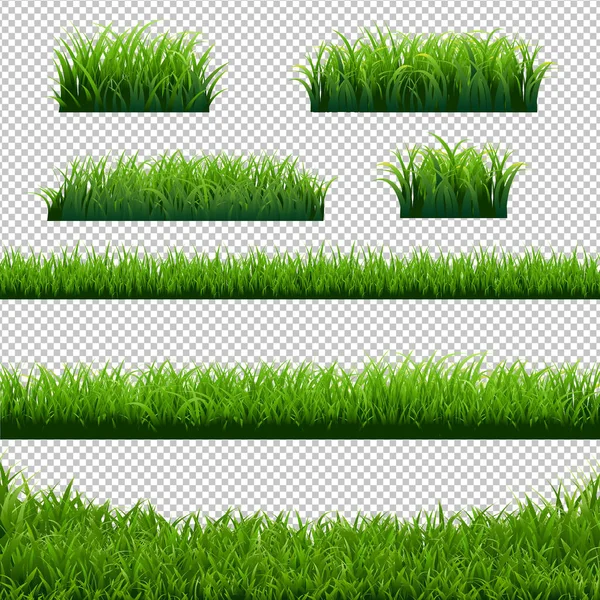 Groen Gras Grenst Grote Set Transparante Achtergrond Vector Illustratie — Stockvector