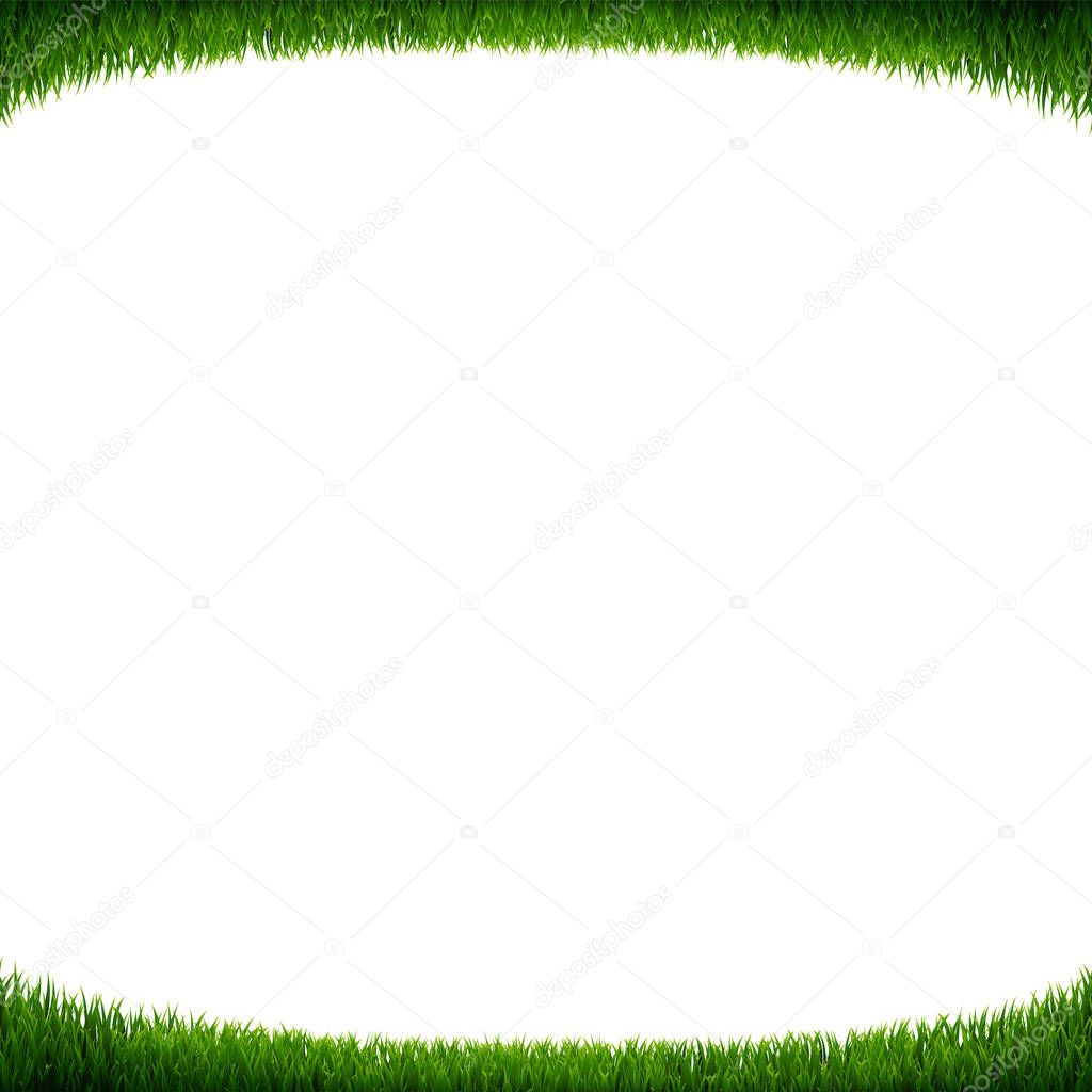 Green Grass Frame White Background With Gradient Mesh, Vector Illustration