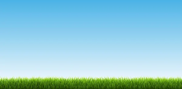緑の草は空と国境を接します ベクトルイラストレーション — ストックベクタ
