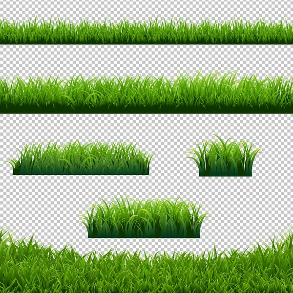 Groen Gras Grenst Grote Set Transparante Achtergrond Vector Illustratie — Stockvector