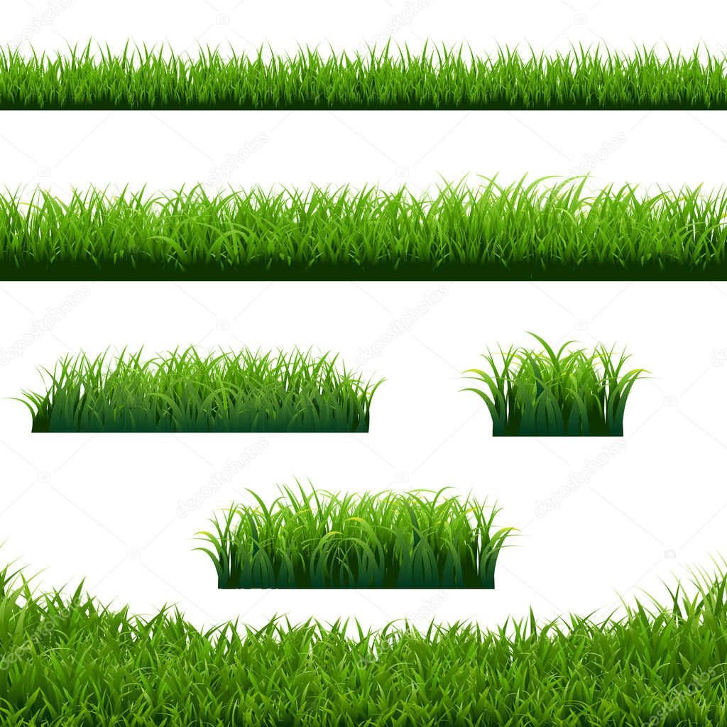 Green Grass Borders Big Set White Background, Vector Illustration