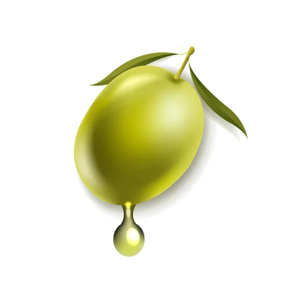 Olives Avec Feuille Isolée Fond Blanc Avec Gradient Mesh Illustration — Image vectorielle