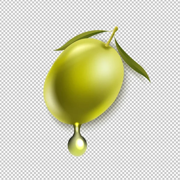 Olives Leaf Isolated Transparent Background Gradient Mesh Vector Illustration — Stock Vector