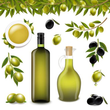 Big Set With Branch Olives And With White background With Gradient Mesh, Vector Illustration clipart