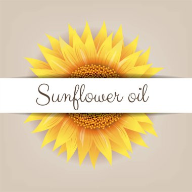 Arkaplan vektör illüstrasyonlu ayçiçeği