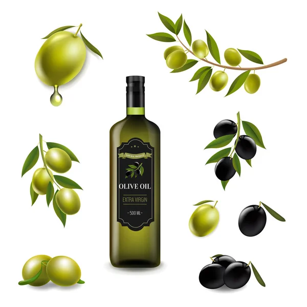 Big Set Branch Olives Virgin Olive Oil Glass Bottle Transparent — Stock Vector