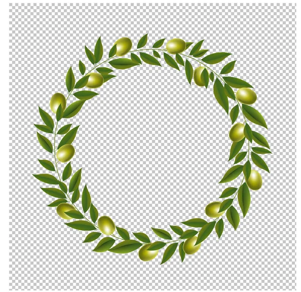 Green Olive Wreath Isolated White Background Illustration — Stock Vector