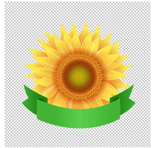 Sonnenblumen Blume Mit Hintergrund Vektor Illustration — Stockvektor