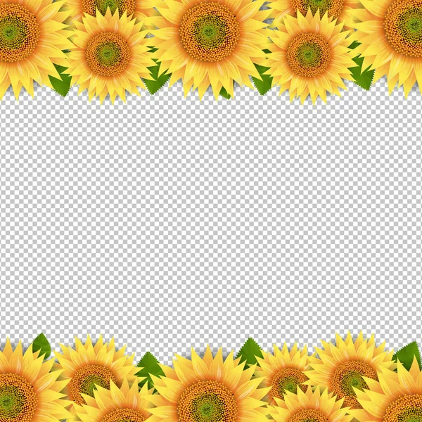 Sunflowers Border Isolated Transparent Background Gradient Mesh Διανυσματική Απεικόνιση — Διανυσματικό Αρχείο