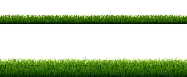 Green Grass Border Isolated White Background Vector Illustration — 스톡 벡터