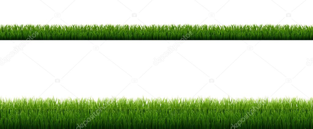 Green Grass Border With Isolated White Background, Vector Illustration
