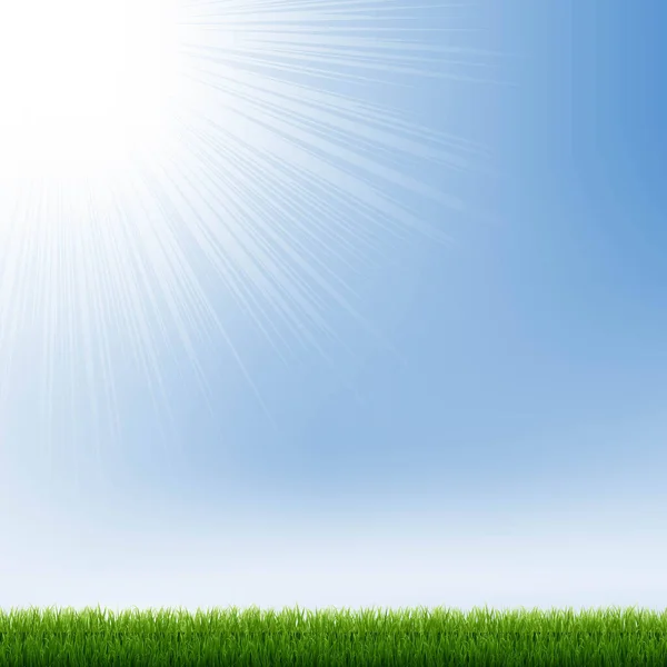 Niebieskie niebo i zielona granica trawy — Wektor stockowy