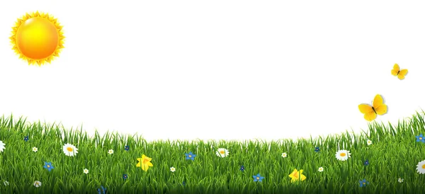 Grüner Grasrand mit Blumen und Sonne isolierter weißer Hintergrund — Stockvektor