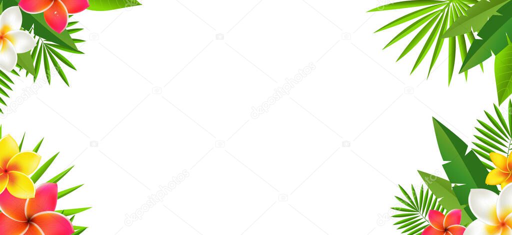 Tropical Leaves And Tropical Flowers With White Background