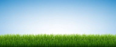 Yeşil Çimen İzole Mavi Gökyüzü Arkaplanı